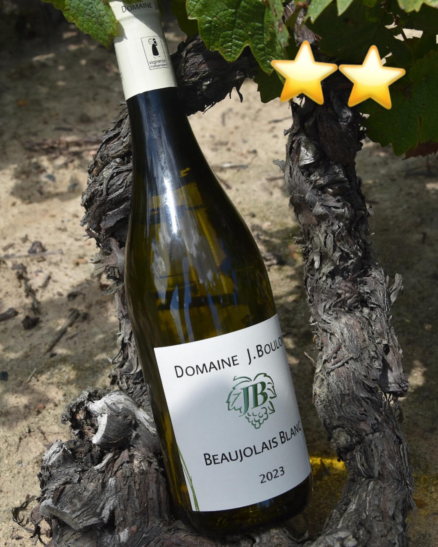 Image Beaujolais Blanc 2023